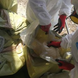 WhatsApp Image 2024-10-29 at 16.07.38_b71504ae